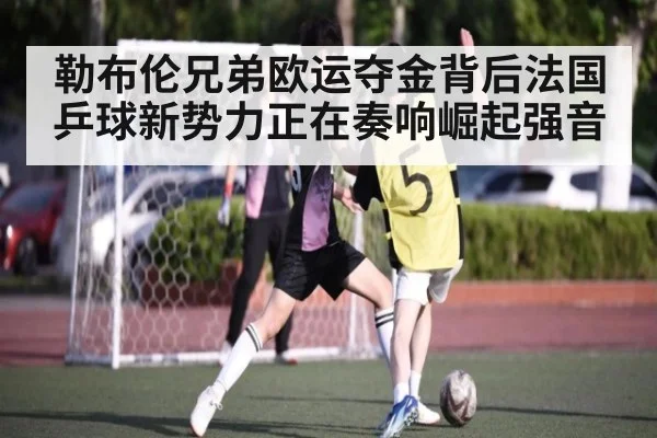 勒布伦兄弟欧运夺金背后法国乒球新势力正在奏响崛起强音